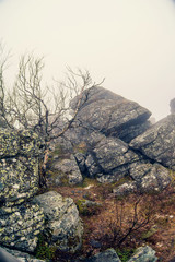 Dark mountain landscape with big mysterious rocks covered by fog