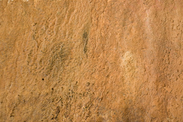 Brown beige wet texture