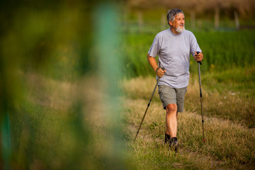 Active handsome senior man nordic walking outdoors on a forest path, enjoying his retirement
