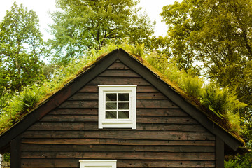 House roof covered with moss