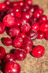 Cold frozen red berry cranberries on the table