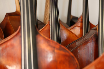 Many double basses at the luthier instrument maker's, musical background © fotofox33