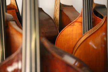Many double basses at the luthier instrument maker's, musical background