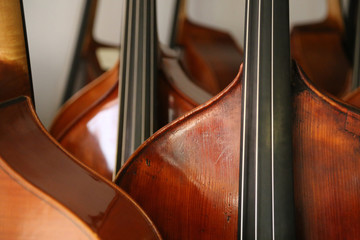 Many double basses at the luthier instrument maker's, musical background