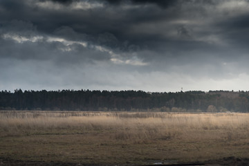 Storm Clouds above a field and forest