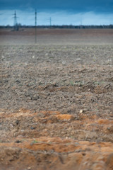 ploughed field with chocolate brown mud furrows. Rural countryside on a blue frosty spring morning.
