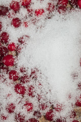 Cold frozen red berry cranberries on the table