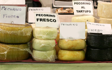 Italian Cheese like PECORINO FRESCO that means Cheese made with milk of sheep
