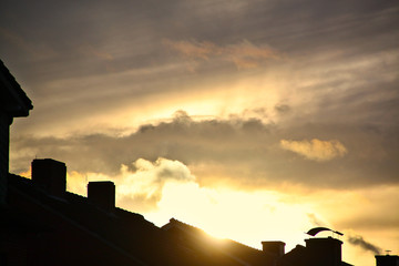 Fototapeta na wymiar Sonnenuntergang Abendrot Himmel Stimmung Dächer