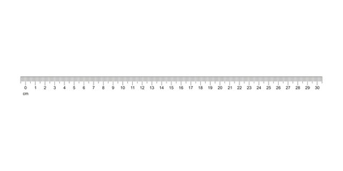 Ruler 30 cm. Measuring tool. Ruler Graduation. Ruler grid 30 + 1 cm. Size indicator units. Metric Centimeter size indicators. Vector AI10