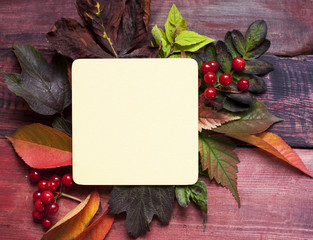 Empty card and autumn berry