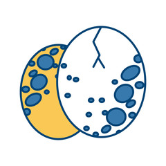 Quail eggs food icon vector illustration graphic design