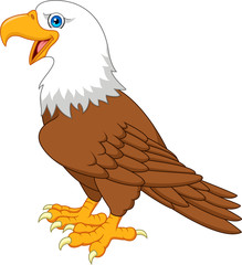 Obraz premium Cartoon bald eagle