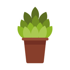 Plant in vase icon vector illustration graphic design
