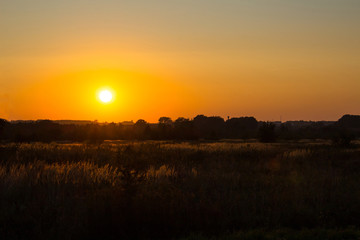 orange sunset over the field