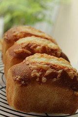 手作りミニ食パン