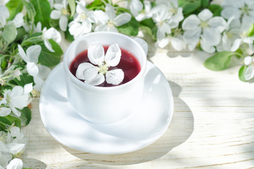Obraz na płótnie Canvas Red tea with apple blossom. White background, natural light