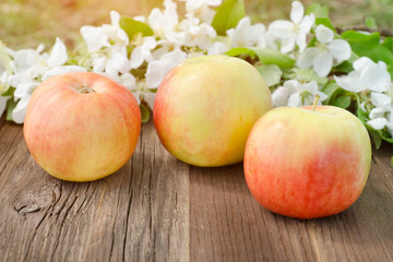 Three ripe apples and flowers of apple. Brown wooden background.  Close up