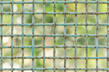 Blue rusty cage close up. Green Background