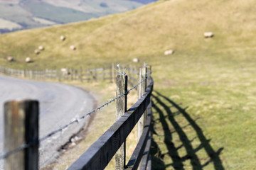 Fence and field