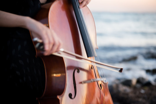 Detail Of Girl With Her Cello On The Outside