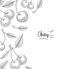 Hand drawn illustrations of cherries isolated on white background. Berries engraved style illustration. Detailed frame with cherry. Applicable for menu, flyer, label, poster, print, packaging.