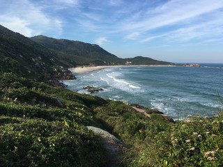 View of Beach in  Florianopolis 