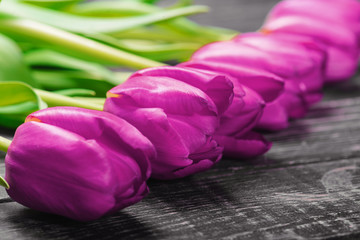 purple tulips on an antique wooden background