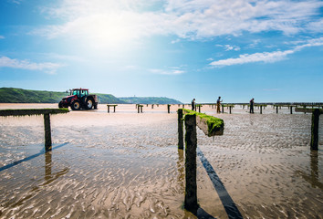 culture des moules de bouchot © Image'in