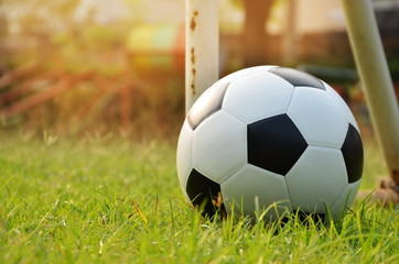 Football or soccer ball on green grass with morning sunlight,outdoor activities. 