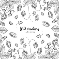 Hand drawn illustration of wild strawberry isolated on white background. Berries engraved style illustration. Detailed frame with berries. Applicable for menu, flyer, label, poster, print, packaging.