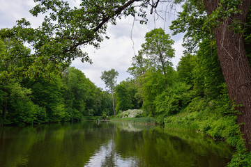 Fototapeta na wymiar Spring landscape with pond, green grass and trees. Park 
