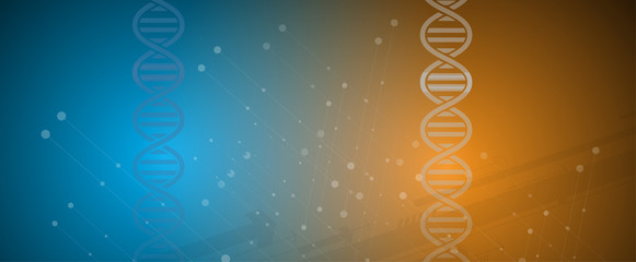 dna and medical and technology background. futuristic molecule structure presentation © kras99