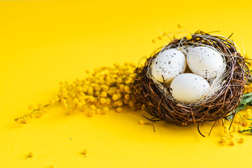 Spring floral concept