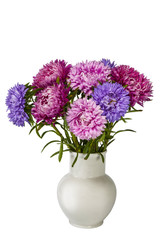 bouquet of colorful bright asters in white ceramic vase on white background isolated