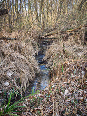 Bachlauf