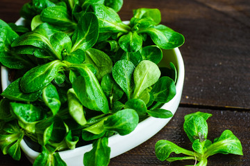 Organic food concept