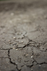 Dry сracked earth