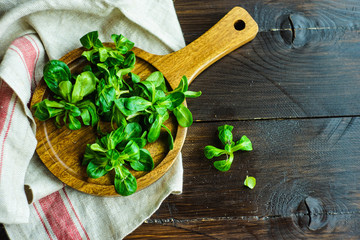 Organic food concept