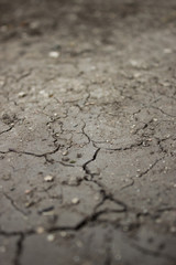Dry сracked earth