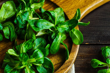 Organic food concept