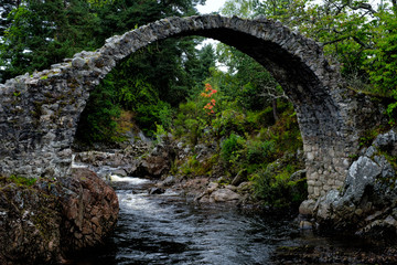 An ancient stone bridge located in Carrbridge, Scotland.