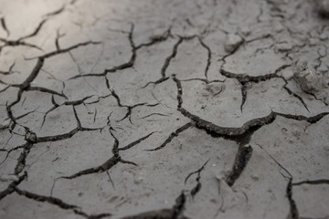 Dry сracked earth