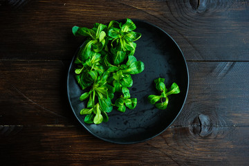 Organic food concept