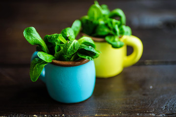 Organic food concept