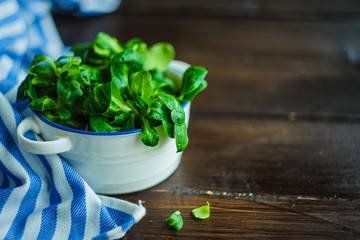 Organic food concept