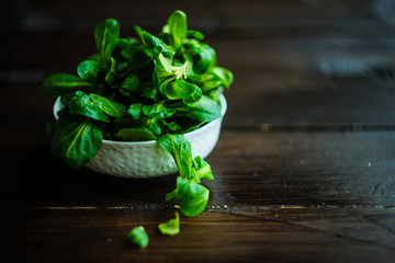 Organic food concept