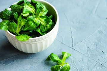 Organic food concept