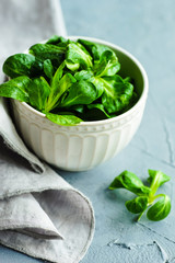 Organic food concept