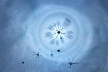 Perpendicular, aerial view of a large black ice crack forming an unusual ornamental structure in...